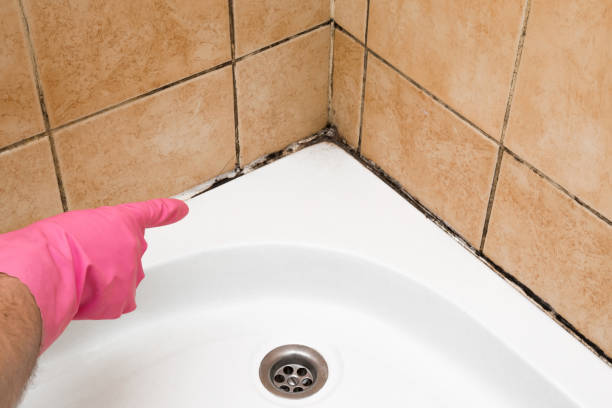 Water Damage Restoration in Crowley, LA